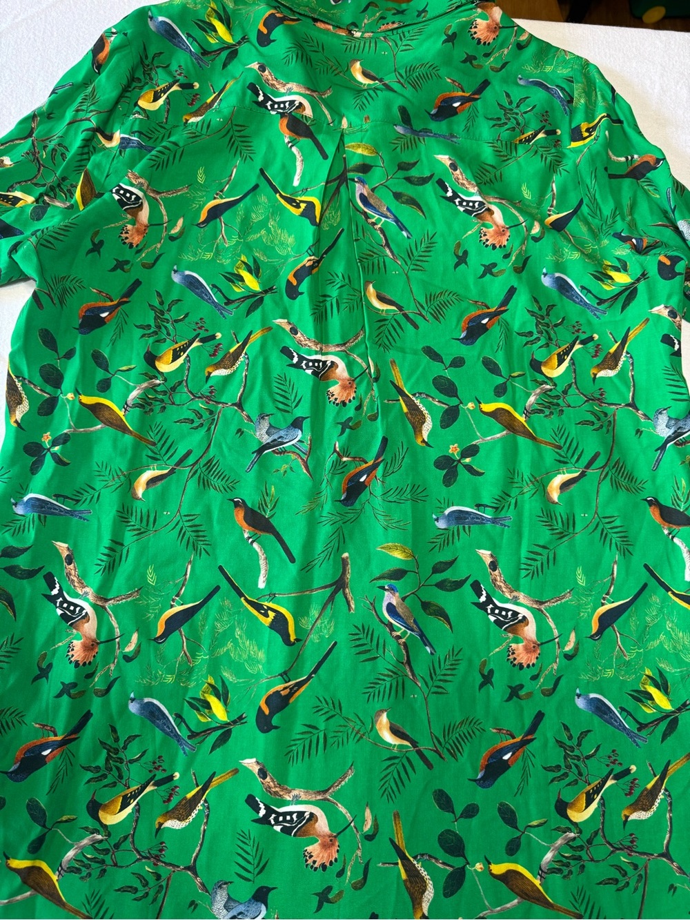 Joanie x Natural History Museum Bird Print Blouse Women’s US 10 Green - Picture 8 of 8